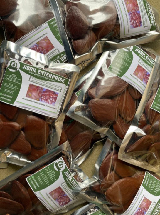 Thumbnail: African oil bean(Pentaclethra m.) 200g/$8, shipping $20, phyto certificate $12