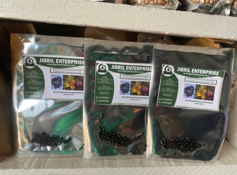 Thumbnail: Cochlospermum planchonii seeds, 15 seeds /$8, shipping $15, phyto certificate$12