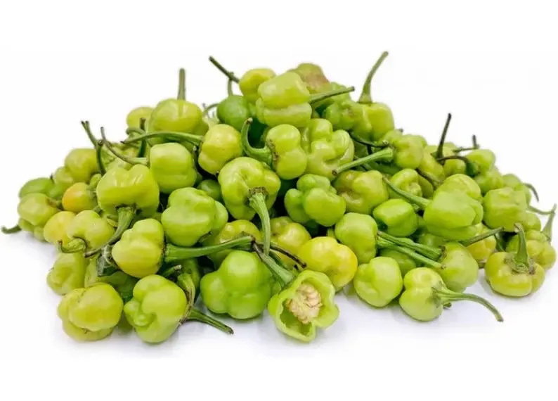 Thumbnail: Kpakposhito pepper ,  200 seeds /$8, shipping $15,phyto certificate $12
