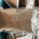 Thumbnail: Voacanga Africana  seeds powder , 100g/$15, shipping /$15, phyto cert. $12
