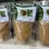 Thumbnail: Anthocleista nobilis stem bark powder , 100g/$13, shipping/$15, phyto cert. $12