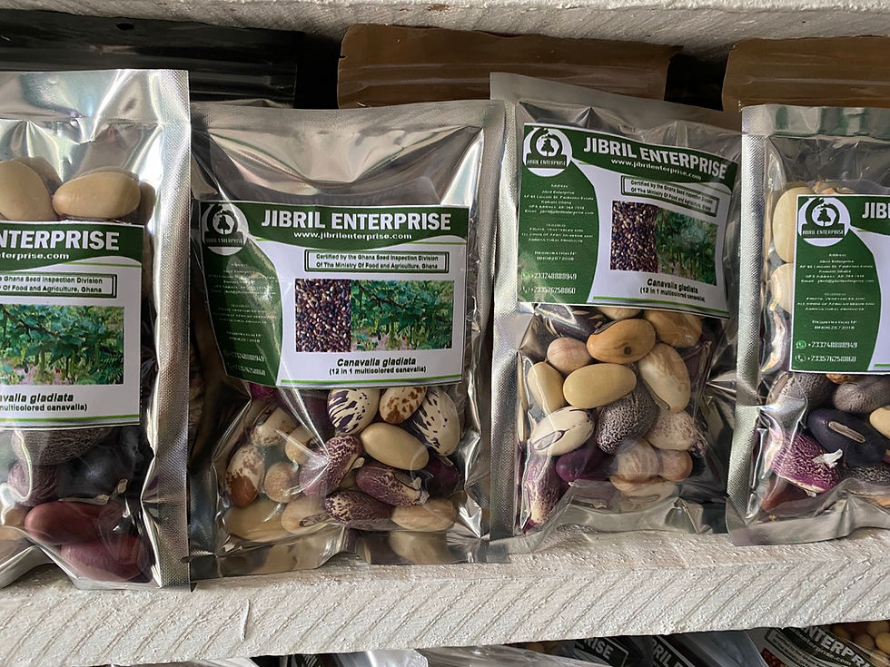 Thumbnail: 13 in 1 African sword beans, 200g /$10, shipping $20, phyto certificate $12