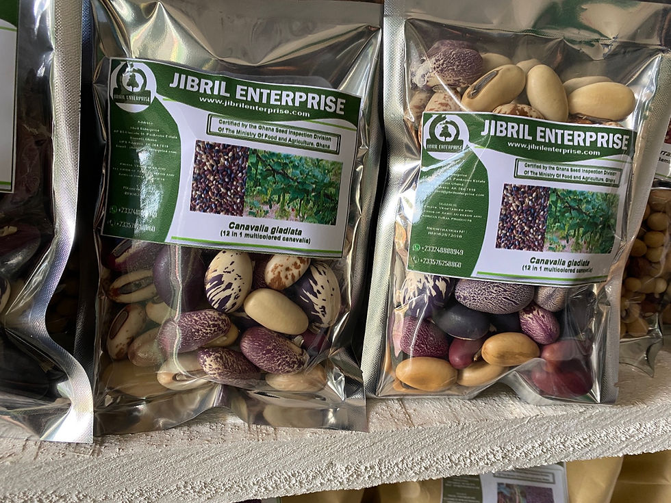 Thumbnail: 13 in 1 African sword beans, 200g /$10, shipping $20, phyto certificate $12