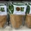 Thumbnail: Anthocleista nobilis stem bark powder , 100g/$13, shipping/$15, phyto cert. $12