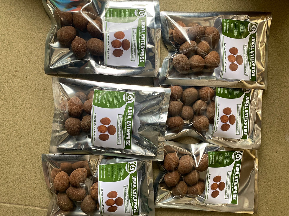 Thumbnail: Chrysobalanus icaco, Gbafilo , 7 balls /$10, shipping $15, phyto certificate $12
