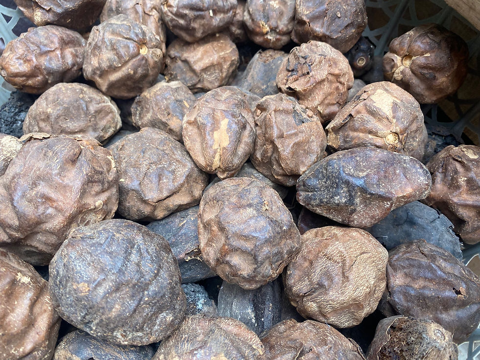 Thumbnail: Okoubaka aubrevillei, Odii aba, 3 pods /$10, shipping /$20, phyto cert./ $12