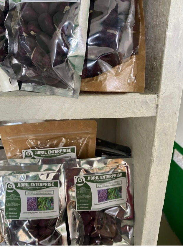 Thumbnail: Wine colored sword beans , 100g/$15, shipping $15, phyto certificate $12