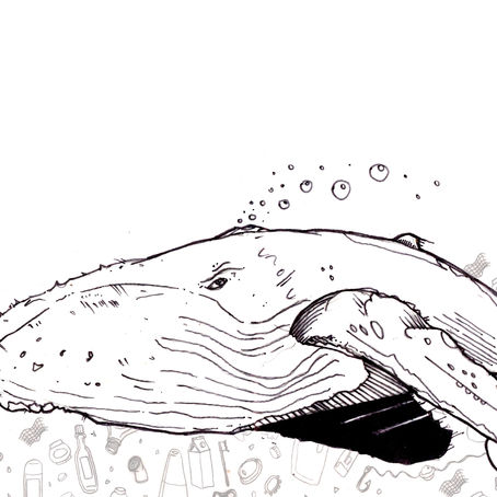 Support Plastic Seavolution with Nairn’s Green Hive