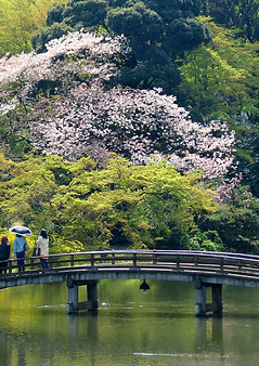 Shinjuku-Gyoen-National-Garden-1.jpg