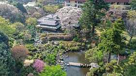 HAKONE14.jpeg