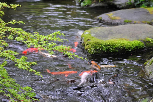 HAKONE04.jpeg