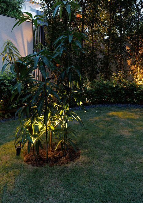 Fibre optic lighting softly illuminating a landscaped garden