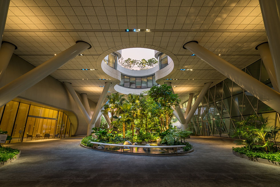 Landscape Lighting