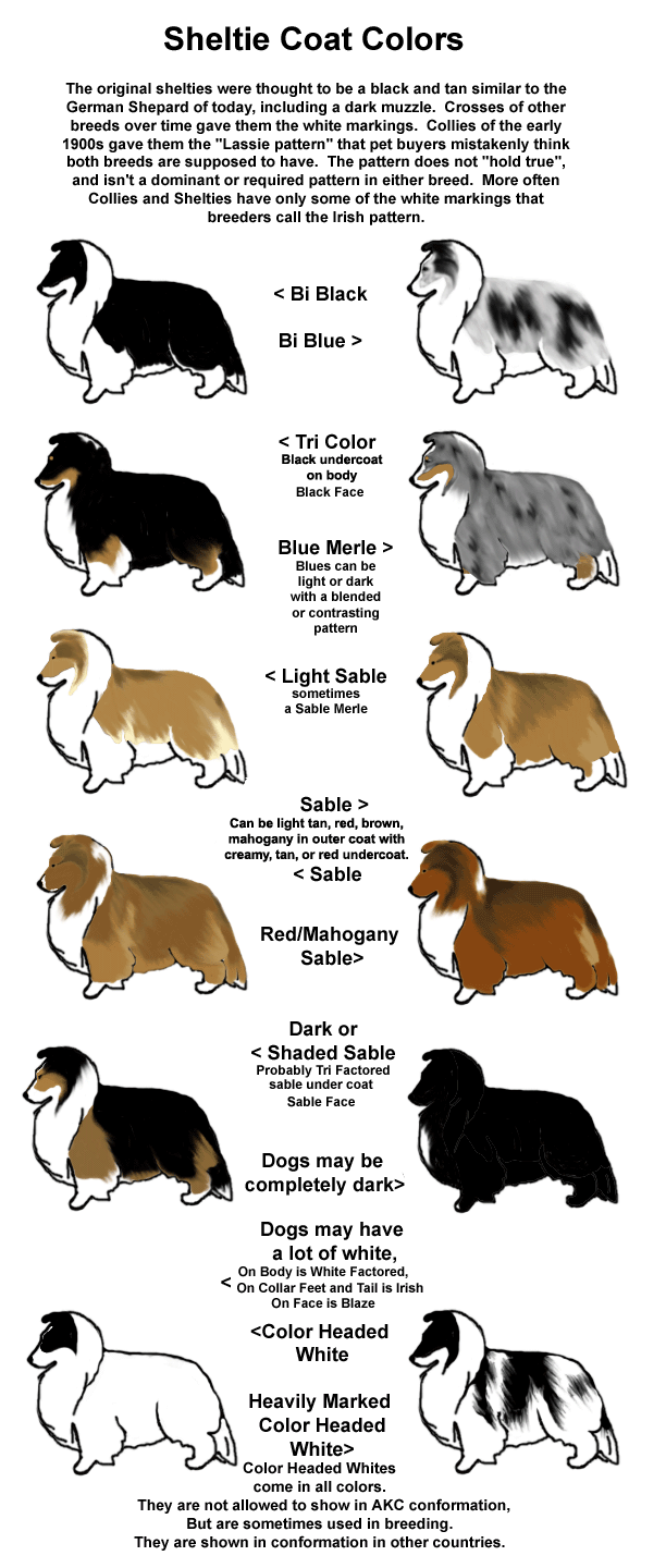 colorchart (1).gif