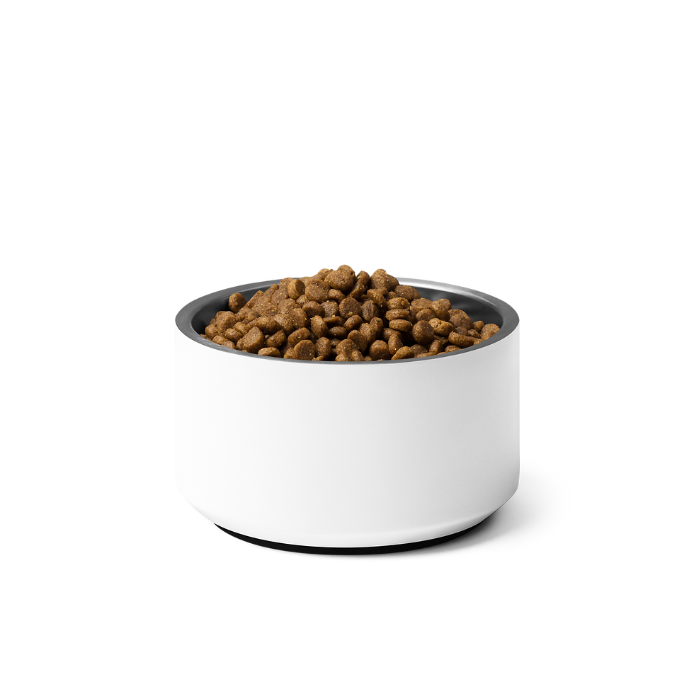 Thumbnail: WNCSR Pet bowl