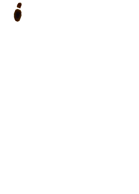 test2.gif