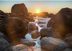 Screenshot 2022-03-18 150345.png