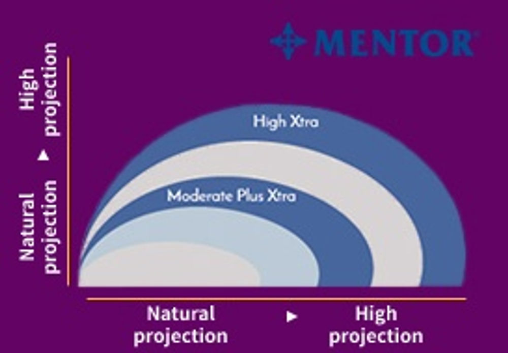 คุณลักษณ์ของซิลิโคน Mentor