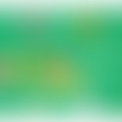 Lanzamiento del Programa de Formación de Referentes en Inclusión Financiera