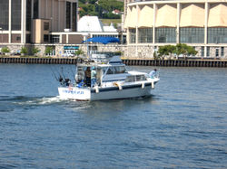 Duluth Charter Fishing