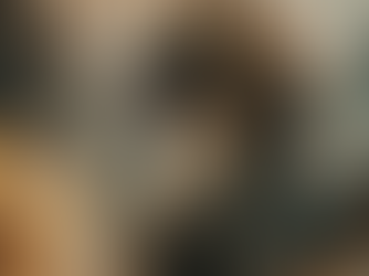 The 12 Animals of the Chinese Zodiac