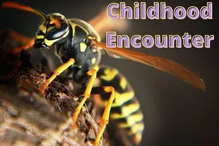 Childhood Encounter