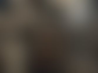 The Secrets of the Dark Ages