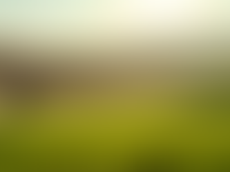 Enhance Your Property with Professional Land Grading Services