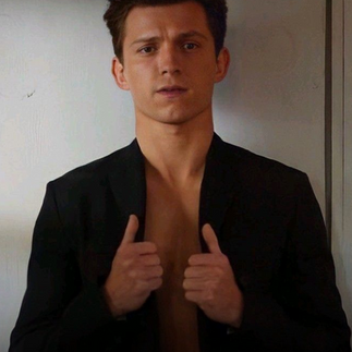 Tom Holland gato