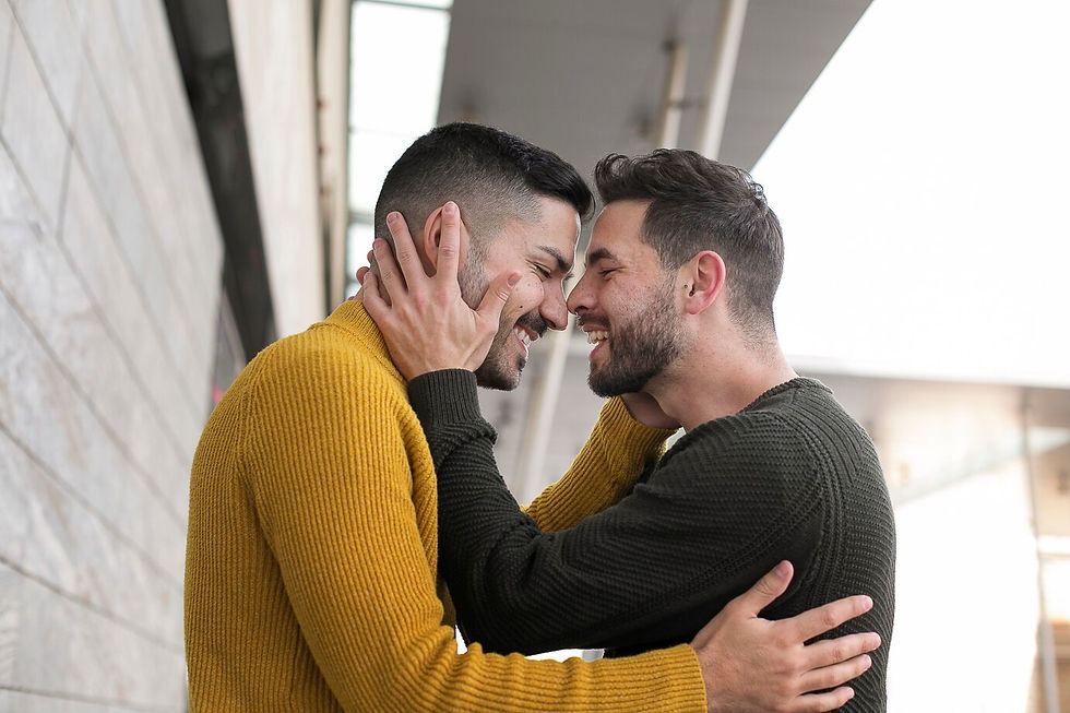 demisexualidade conexao autentica amor verdade gay