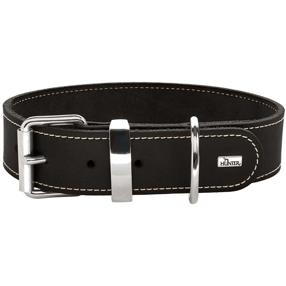 Miniaturbild: HUNTER Halsband Aalborg Special