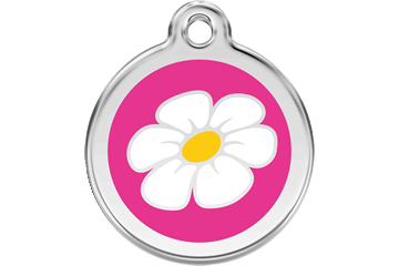 Miniaturbild: Gänseblümchen