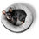 Miniaturbild: HUNTER, Hunde- und Katzenschlafplatz Sumba