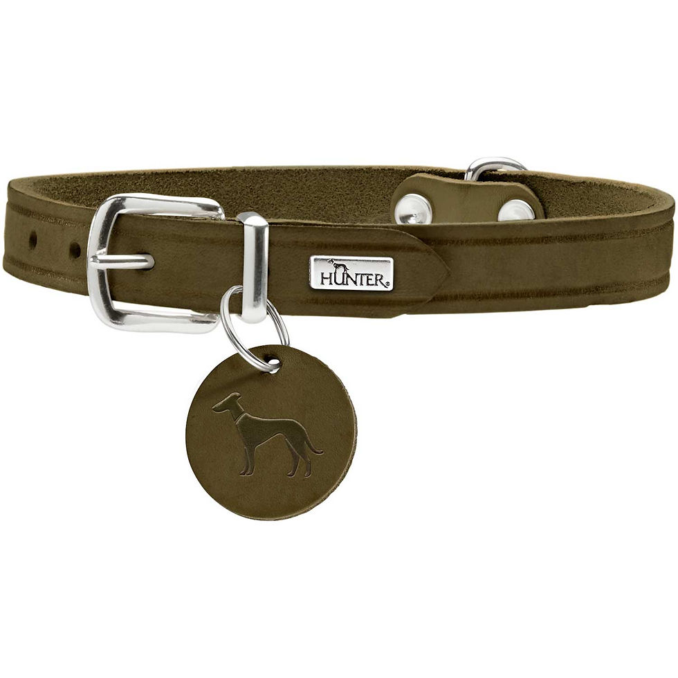 Miniaturbild: HUNTER Halsband Aalborg