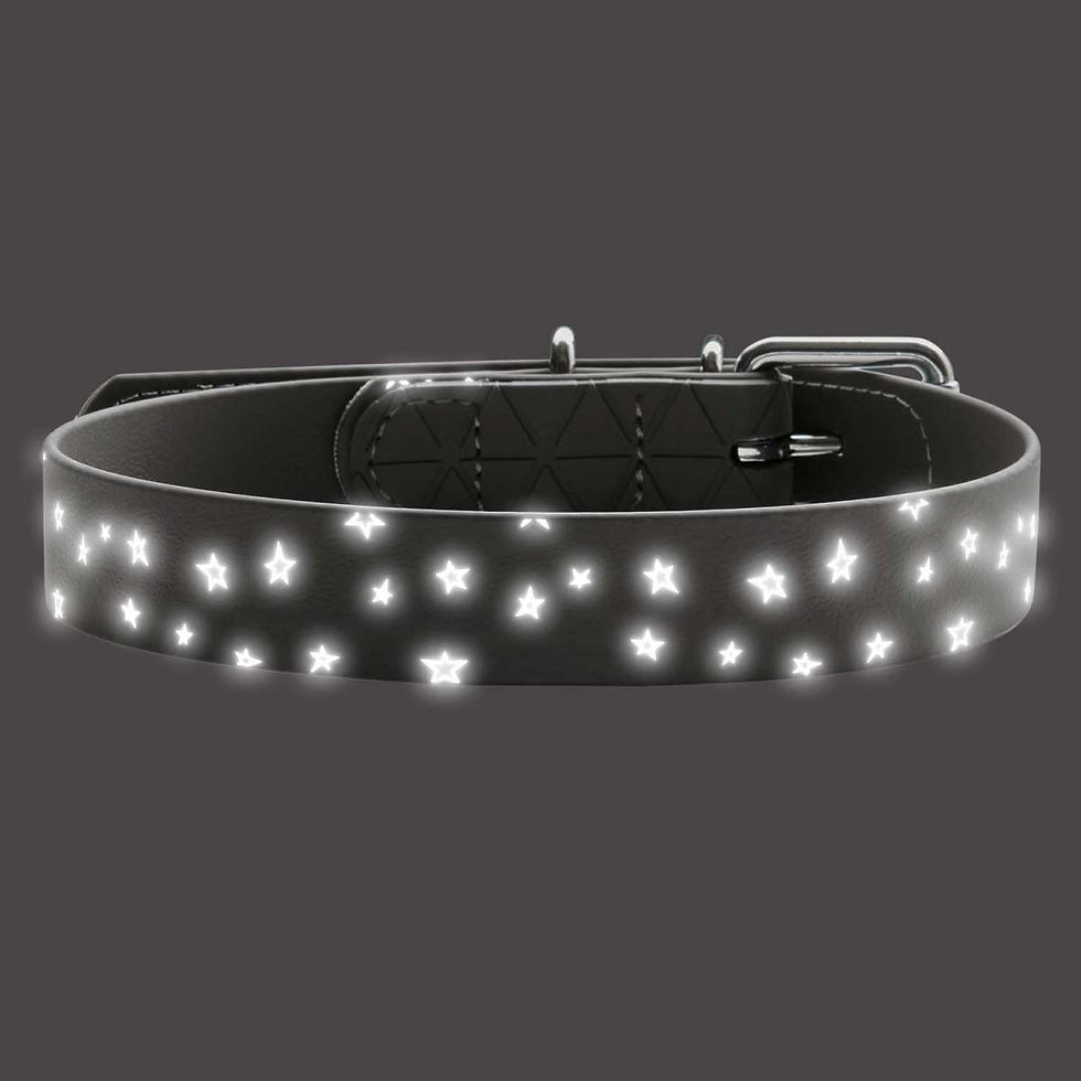 Miniaturbild: HUNTER, Halsband Convenience Reflect Sterne