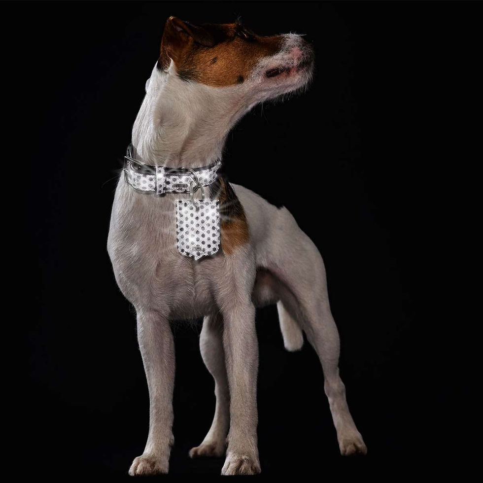 Miniaturbild: HUNTER, Halsband Hella Reflect