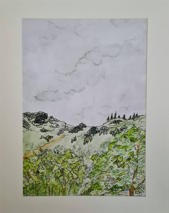 View from Fisher ground Eskdale.jpg