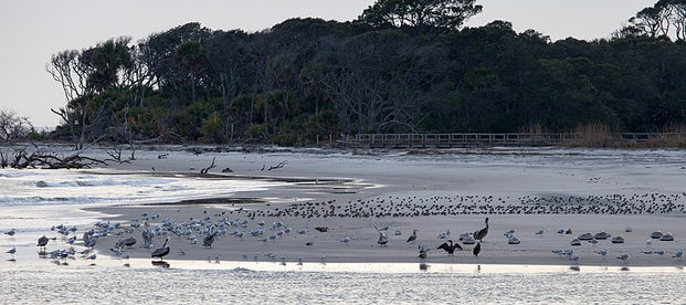 800px-Pritchards_Island_-_panoramio.jpeg