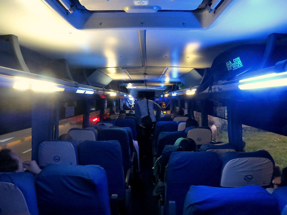 Bus VIP