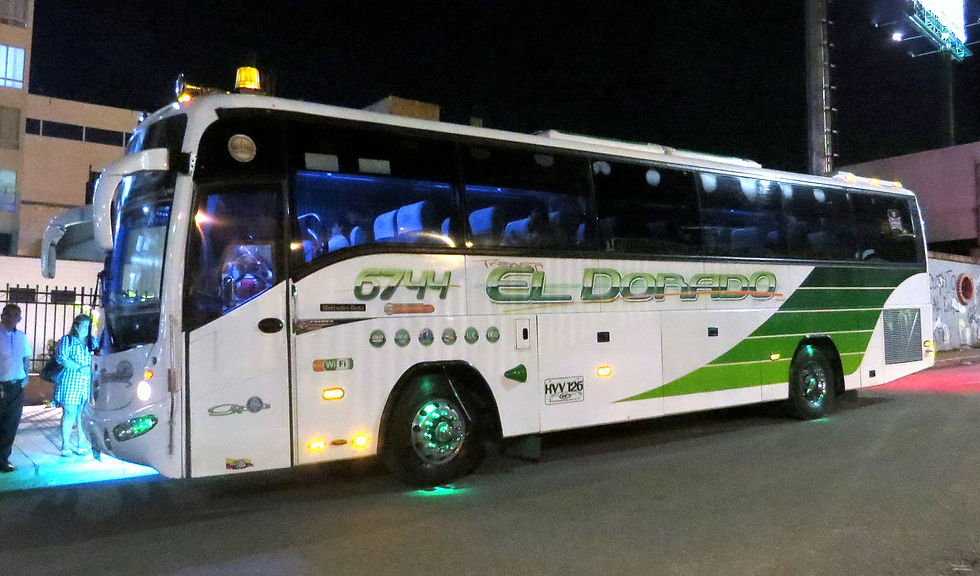 Bus VIP
