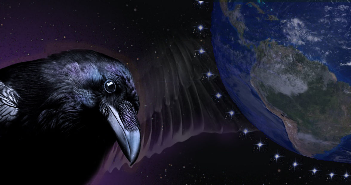 LTC2HEADER.jpg