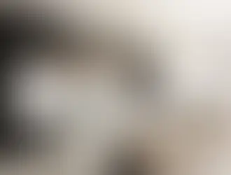 Modern Dark & Wood European Kitchen with Island | Brooklyn Townhouse (Cabinetry $45K–$55K)