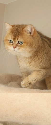 Untitled - 2025-07-30T150850.579.png