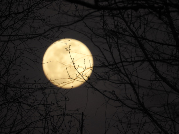 DSCN6351.JPG