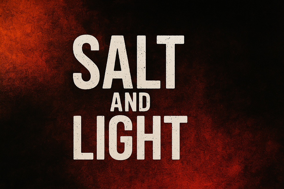 Text "Salt and Light" in bold white on a dark background with red-orange smoky texture, creating an intense and dramatic mood.