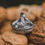 Thumbnail: The Forager's Walnut Basket