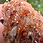 Thumbnail: Hessonite Garnet Talking Walnut Tree Necklace