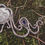 Thumbnail: 'Magical Middle Sister Moon' Statement Necklace