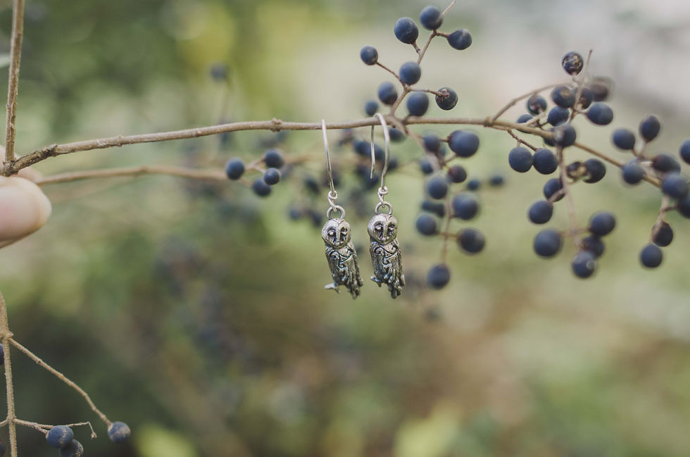 Thumbnail: The Barn Owl Earrings