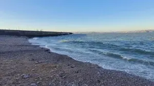 Beautiful Brixham - Sunday 6th September 2026 at 10am